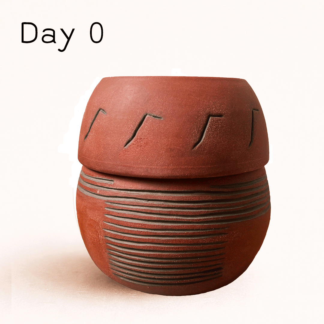 kimchi pot